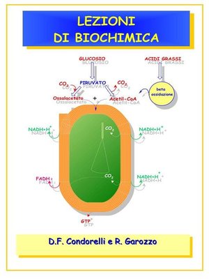 cover image of Lezioni di Biochimica